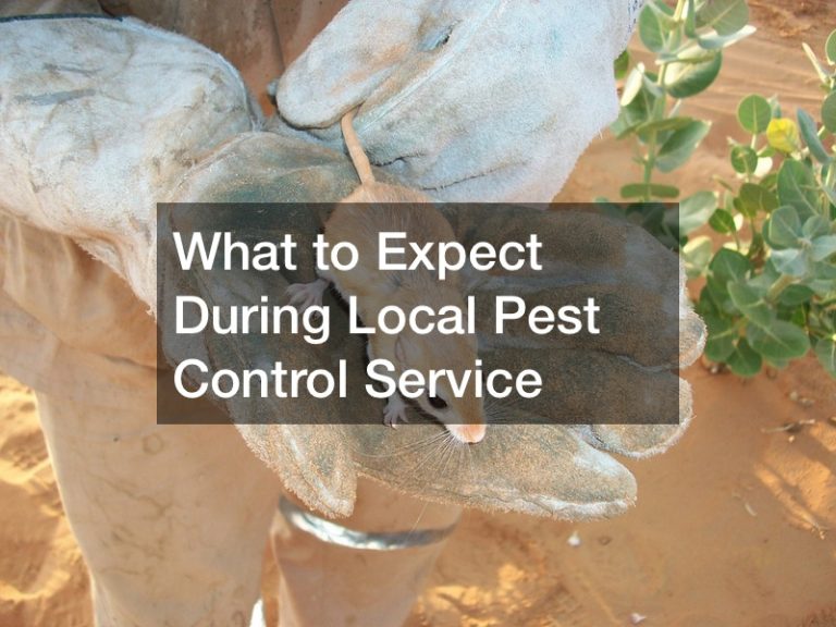 What to Expect During Local Pest Control Service - New York City Info ...